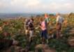 http://www.nacsa.org.za/NACSSA%202011%20Images/VIEWING%20ALOE%20PEGLERAE_small.JPG