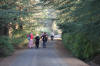 http://www.nacsa.org.za/NACSSA%20pictures%202012/IMG_9574_small.jpg